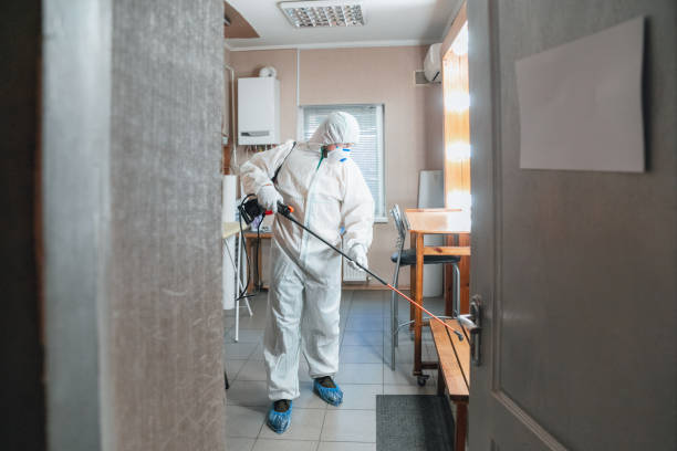 Mold Removal for HVAC Installations in Kenai, AK