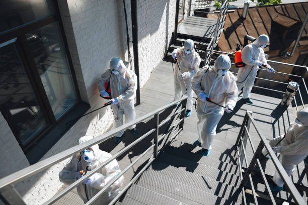 Best Mold Remediation for Healthcare Facilities  in Kenai, AK