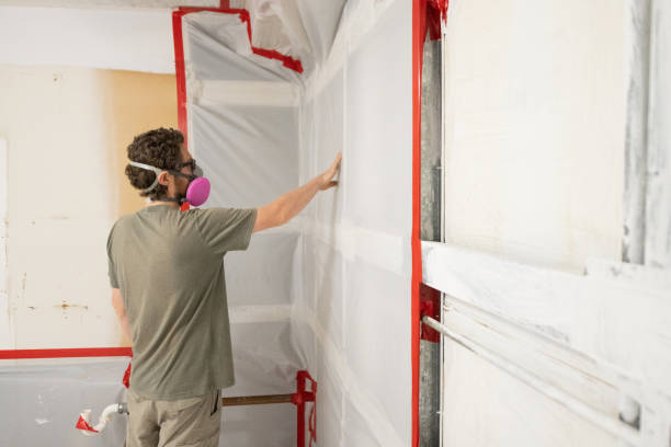 Professional Mold Removal in Kenai, AK