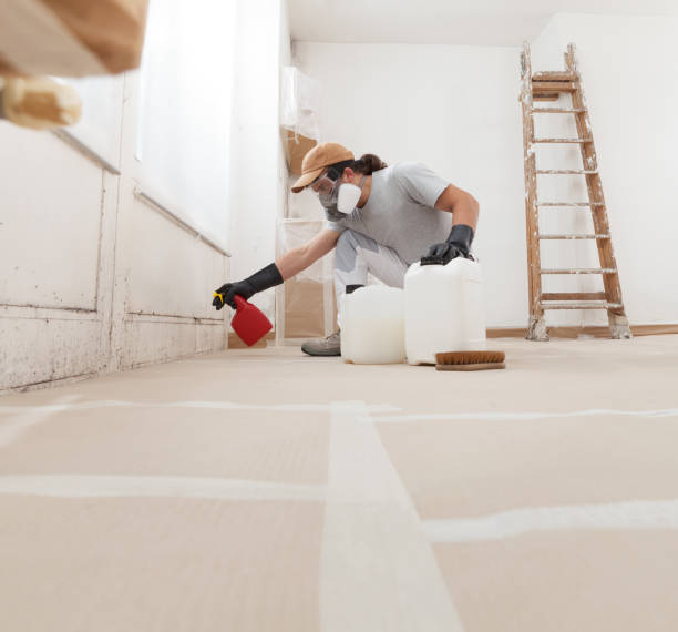 Dehumidification Services in Kenai, AK